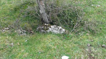 Lejazar Meridional trikuharria, Urkabustaiz