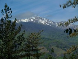 Orhi, Jorako maldatik