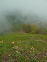 Azken malda, tontorretik