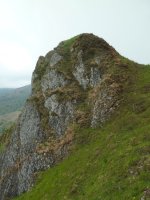 Tontorra, iparraldetik