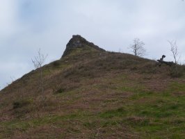 Lehen punta, baso aldean