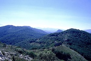 Ihatea, Zünbia, tontorretik