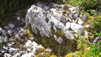 Ugarra 2 mendebal trikuharria, Napal-Erromantzatua