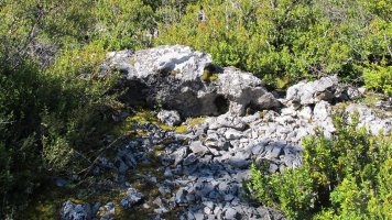 Ugarra 4 hego trikuharria, Napal-Erromantzatua