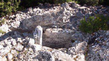 Ugarra 1 ekialde trikuharria, Napal-Erromantzatua