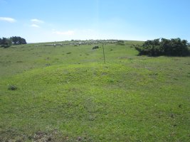 Fondo de Cabaña Sima de los Fusilados 1  (06-2016) 