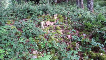 Lantz (Amezti) trikuharria, Lantz