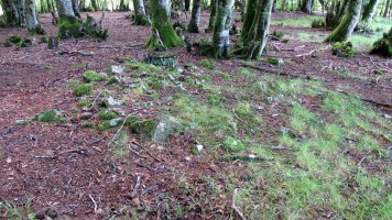 Amezti 1 mendebalde tumulua, Lantz