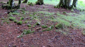 Amezti 1 mendebalde tumulua, Lantz