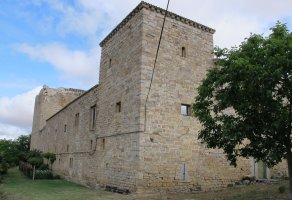 Arazuriko Leinu-etxe jauregia, Arazuri-Oltza