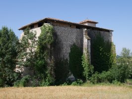 Santa Eulalia eliza, Txintxetru