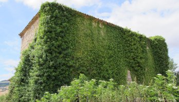 San Adrian eliza, Eriete-Zizur