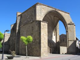 Salvador eliza, Zangoza