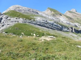 Cantal de Curets trikuharria