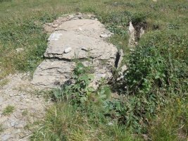 Cantal de Curets trikuharria