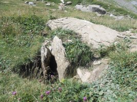 Cantal de Curets trikuharria