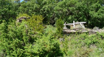 Santa Kruz ermitaren hondakinak, landaretzak irentsita