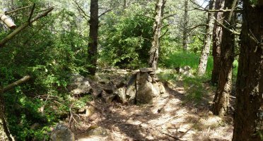 Karramitxako gailurra