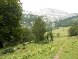 Characou 1 trikuharria