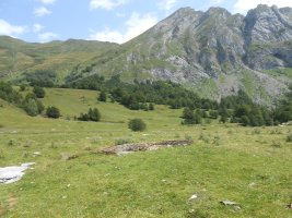 Characou 4  trikuharria