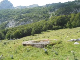 Characou 4  trikuharria