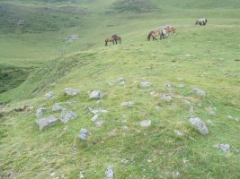 Col d'Iseye harrespila
