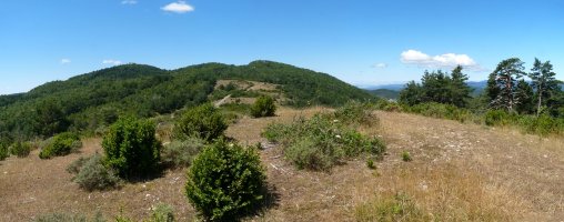 Bardipeñako gailurra