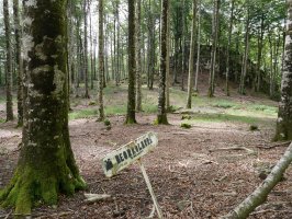 Beorkolarrerako bidea egiteko gonbitea, Iparralderagoko lepoan