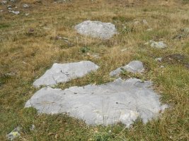 Saoubathou trikuharria