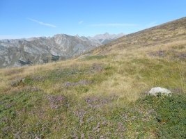 Col de Souperet harrespila