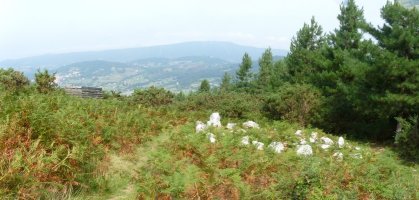 Arritxurieta harrespila