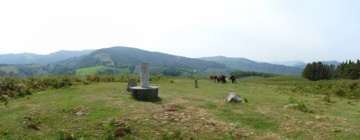 Arritxurieta gaineko gailurra