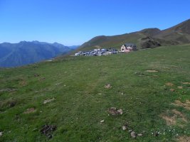 Aubisque tumulua