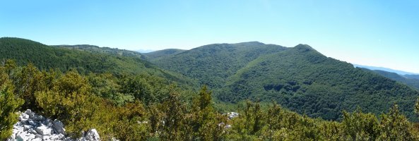 Baxa mendia gailurretik