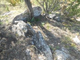 As Tallatas trikuharria