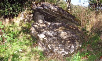 Sakulo trikuharria, Izaba