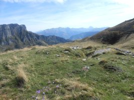 Countendé 1 trikuharria