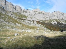 Countendé 2 trikuharria