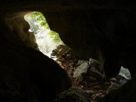 Lehenengo galeria, barrutik