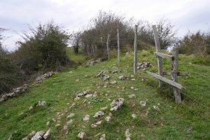 Tontorrera heltzen Ekialdetik