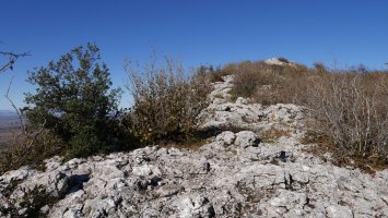 Artzanegi Ekialdeko bizkarretik