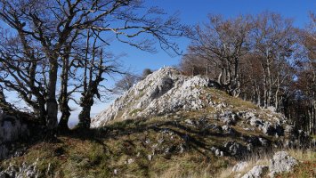 Umandia Ekialdeko gandorretik