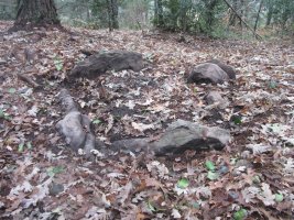 Dólmen Artabilla 2    (Noviembre  2016)