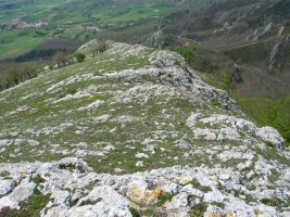 Mendebaldeko bizkarra goitik