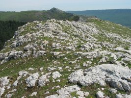 Tontorra Mendebaldetik