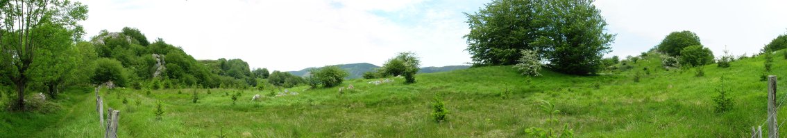 Gazteluko atakaren inguruko larreak (orain pinudia)