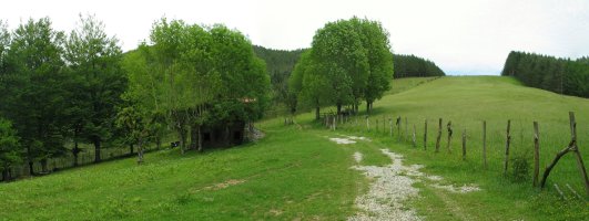 Pagamutegiko larrea, Gaztelu aldeko hegian
