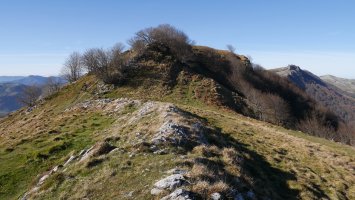 Ekialdeko bizkarreko bidea