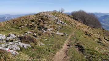 Ekialdeko bizkarreko bidea
