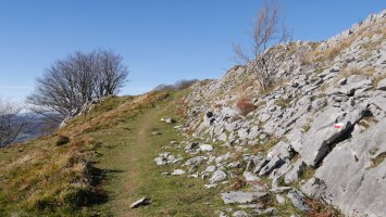 Ekialdeko bizkarreko bidea